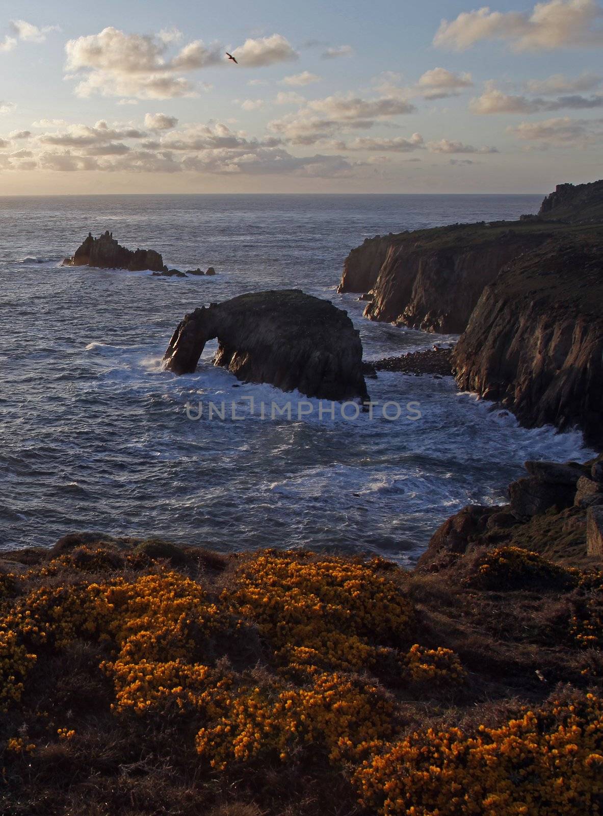 Lands End,Cornwall,from a cliff top by olliemt