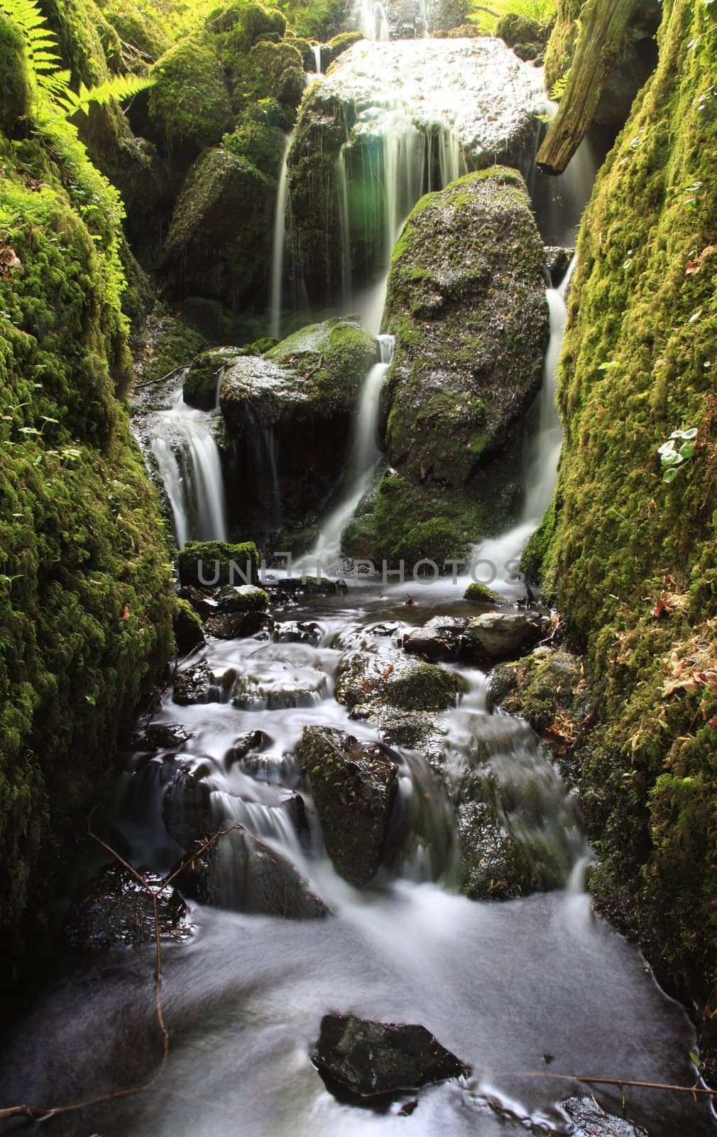 Water flowing down through rocks with moss 