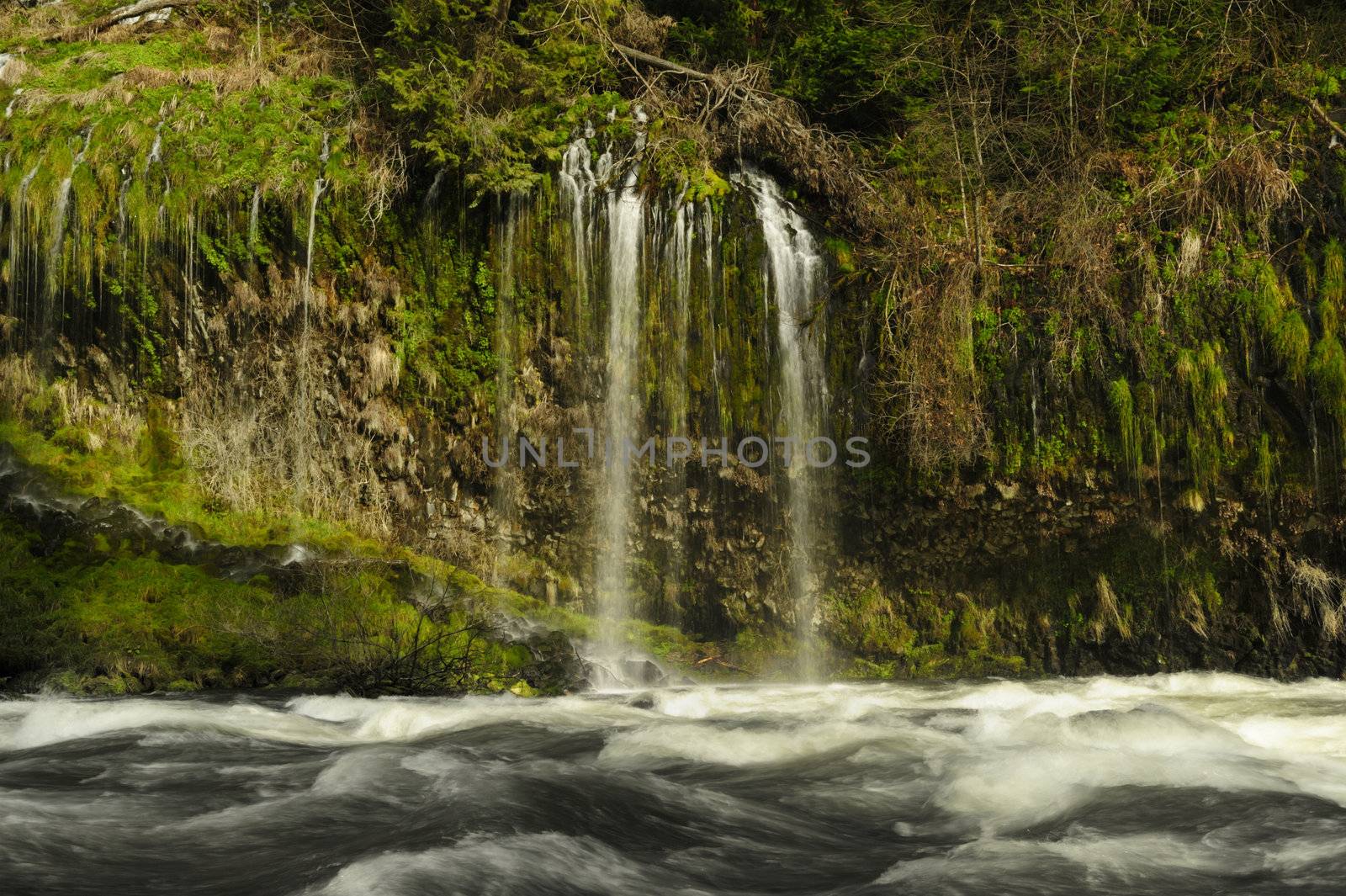 waterfall by pazham
