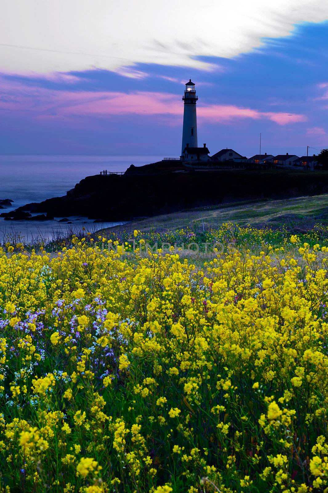 Pigeon Point Light House by pazham