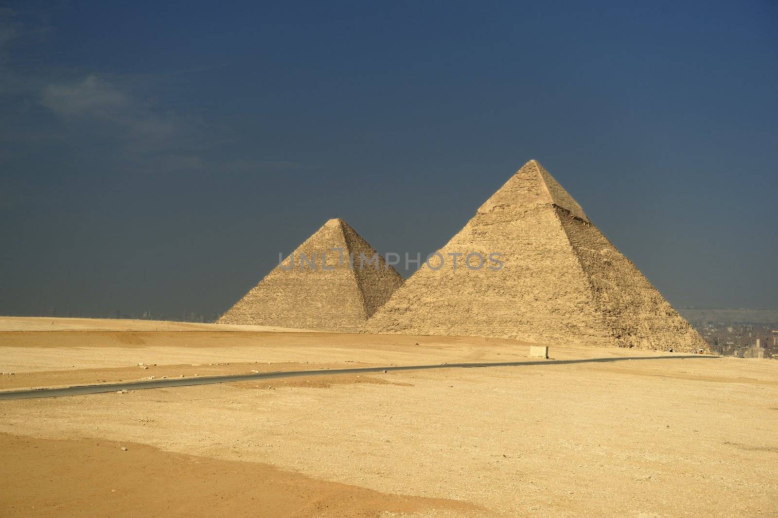 A row of camels transport tourists in front of all of the Giza Pyramids in Cairo, Egypt