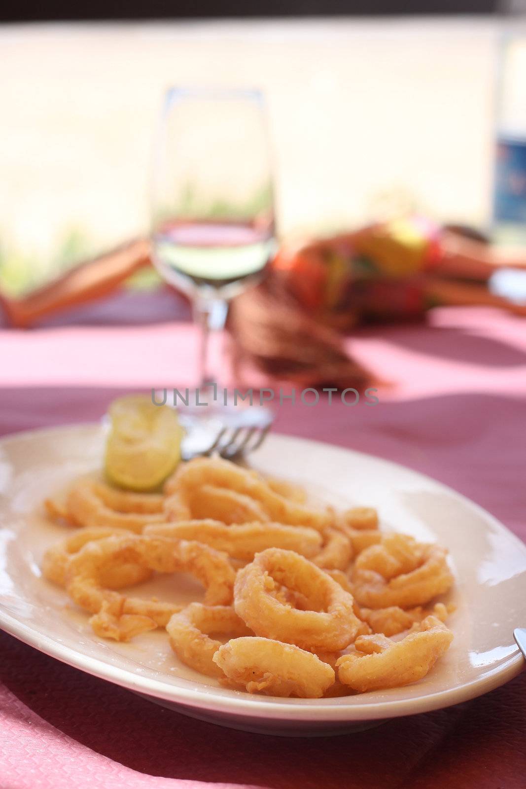 A plate of fried calamari, served with a glass of white wine. Soft focus, blurred background