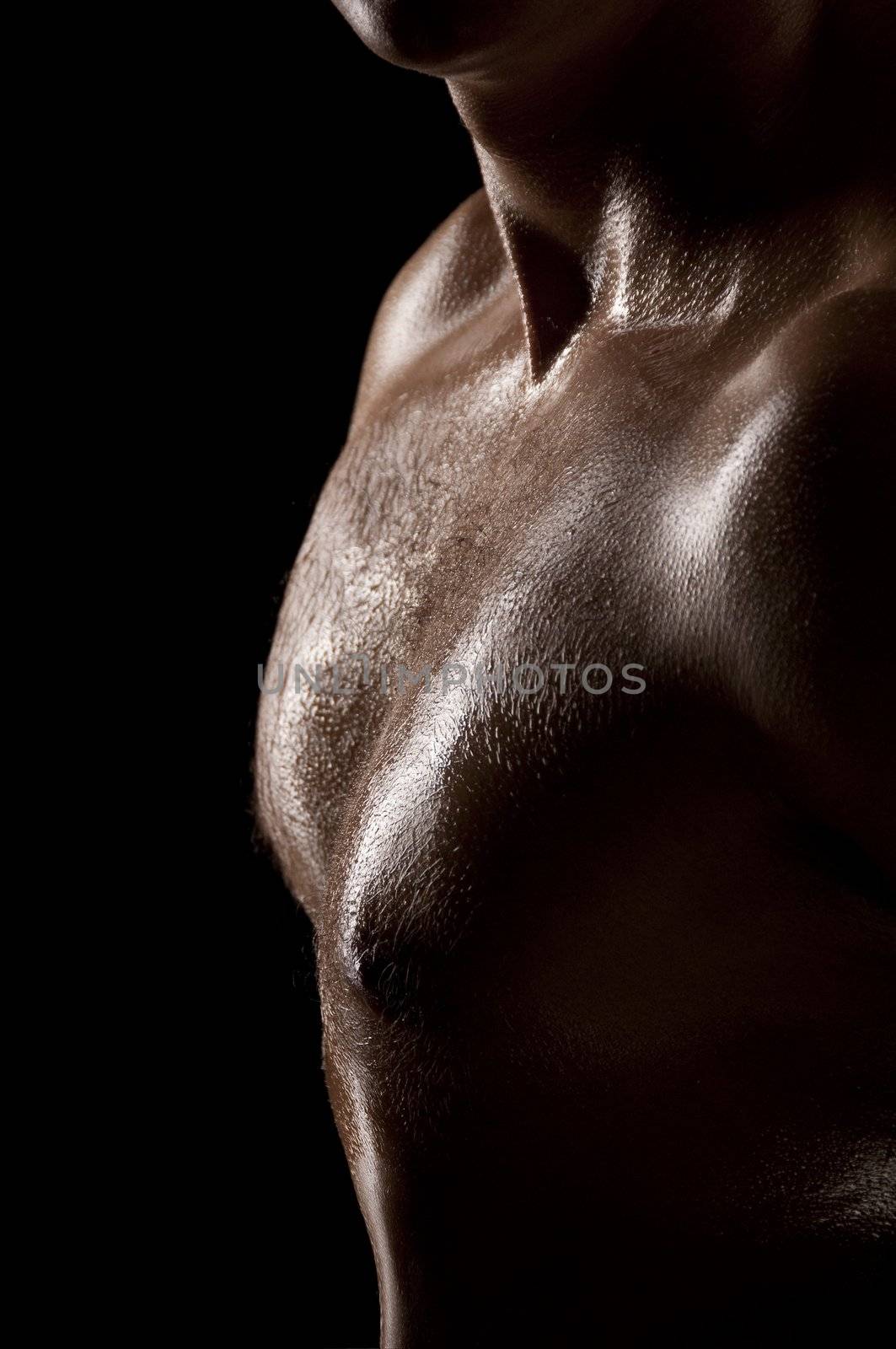 Athletic male torso in dark key. Focus on the chest.