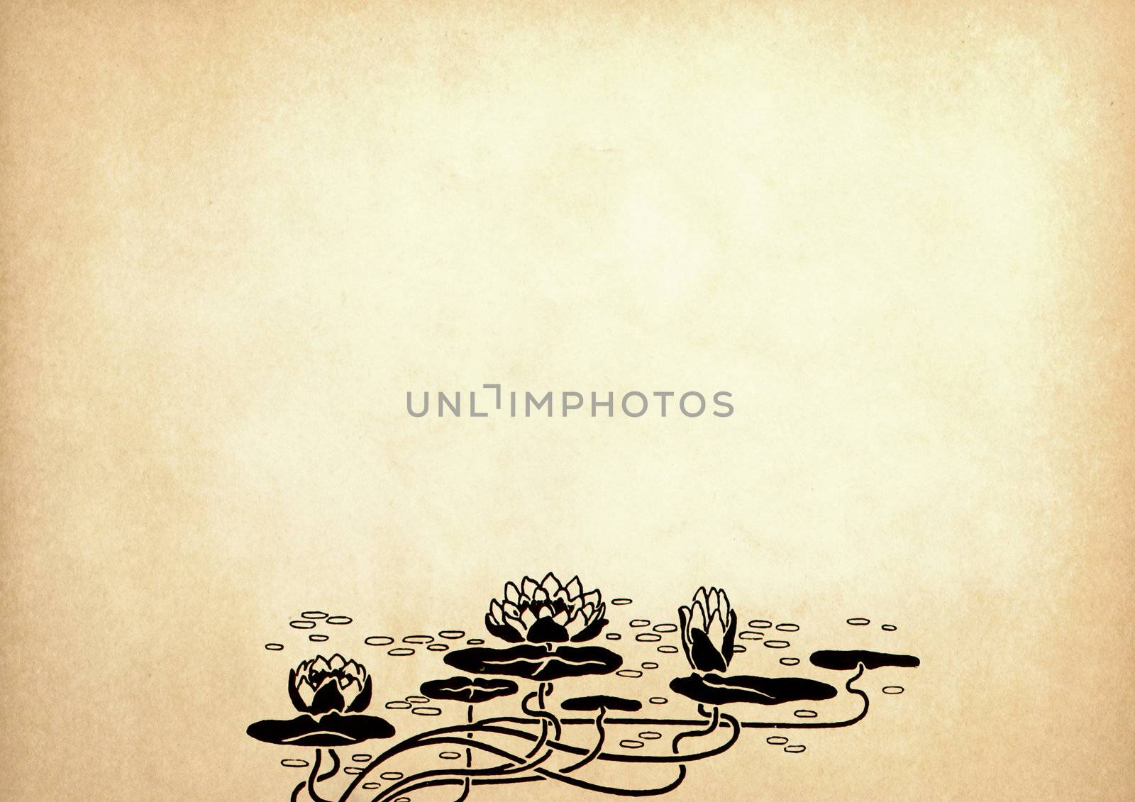 Illustration of lotus flowers on old paper with copy space