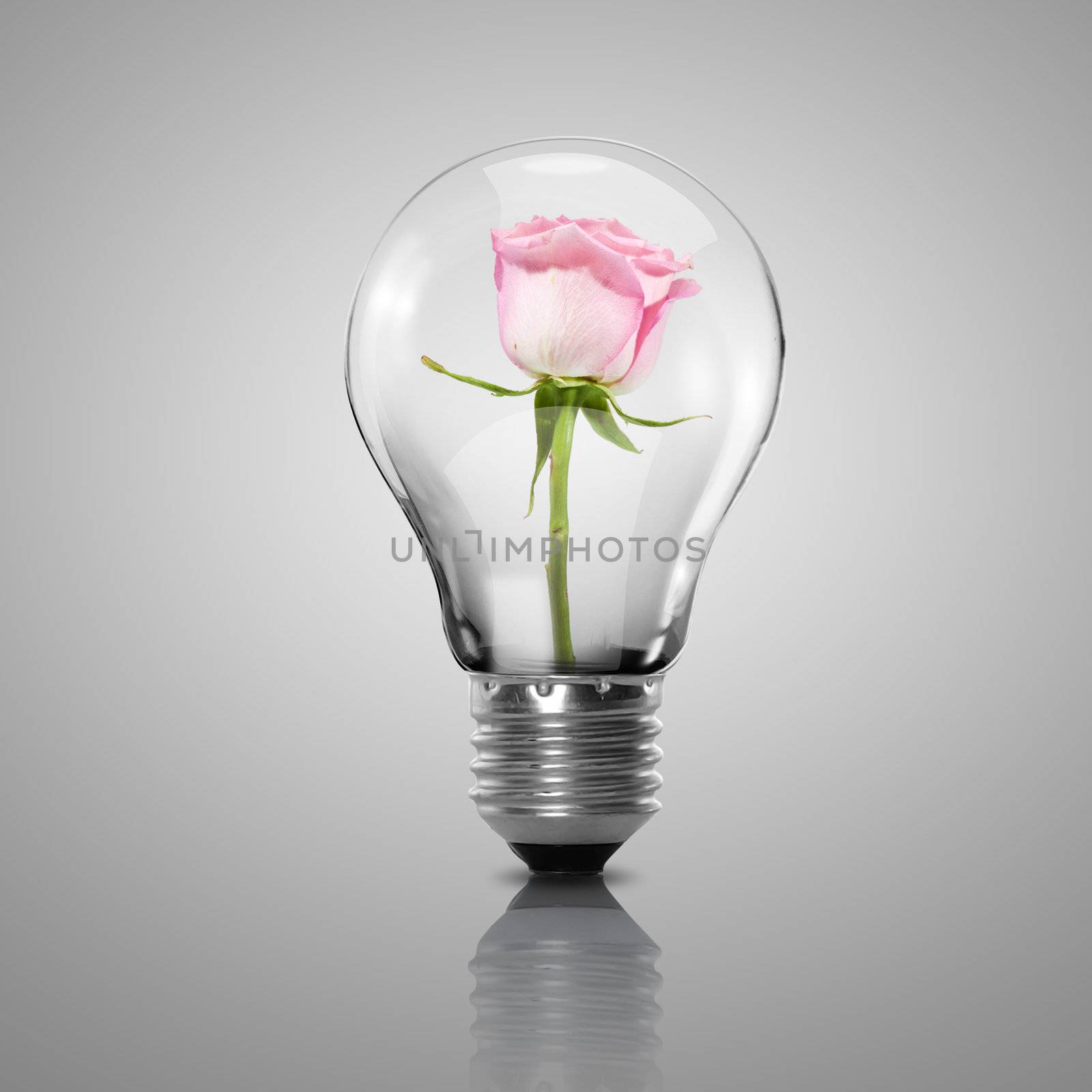 Electric light bulb and flower inside it by sergey_nivens