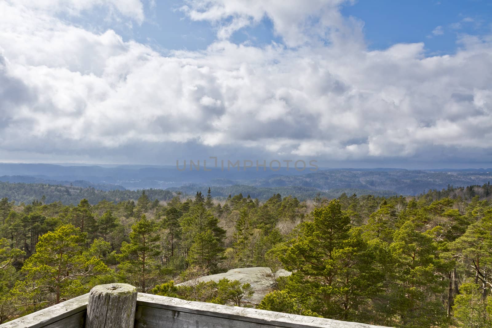 view over forest with cloudy sky by gewoldi