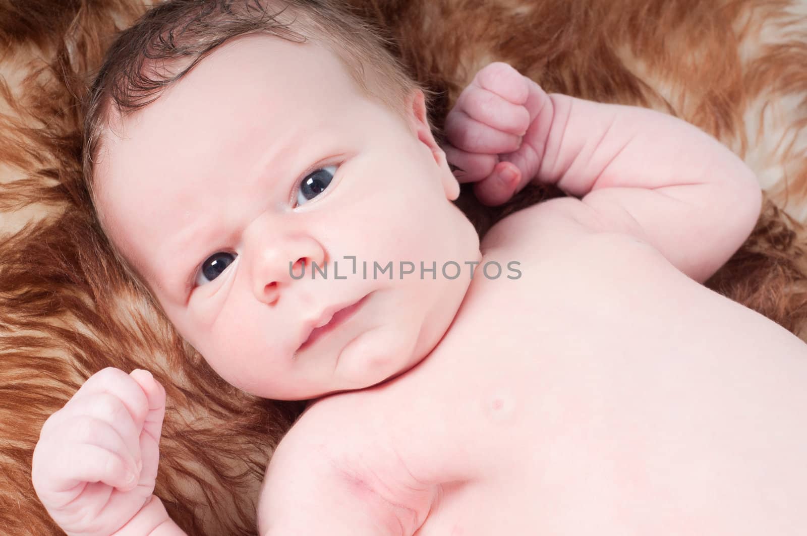 Shot of newborn baby lying on fur