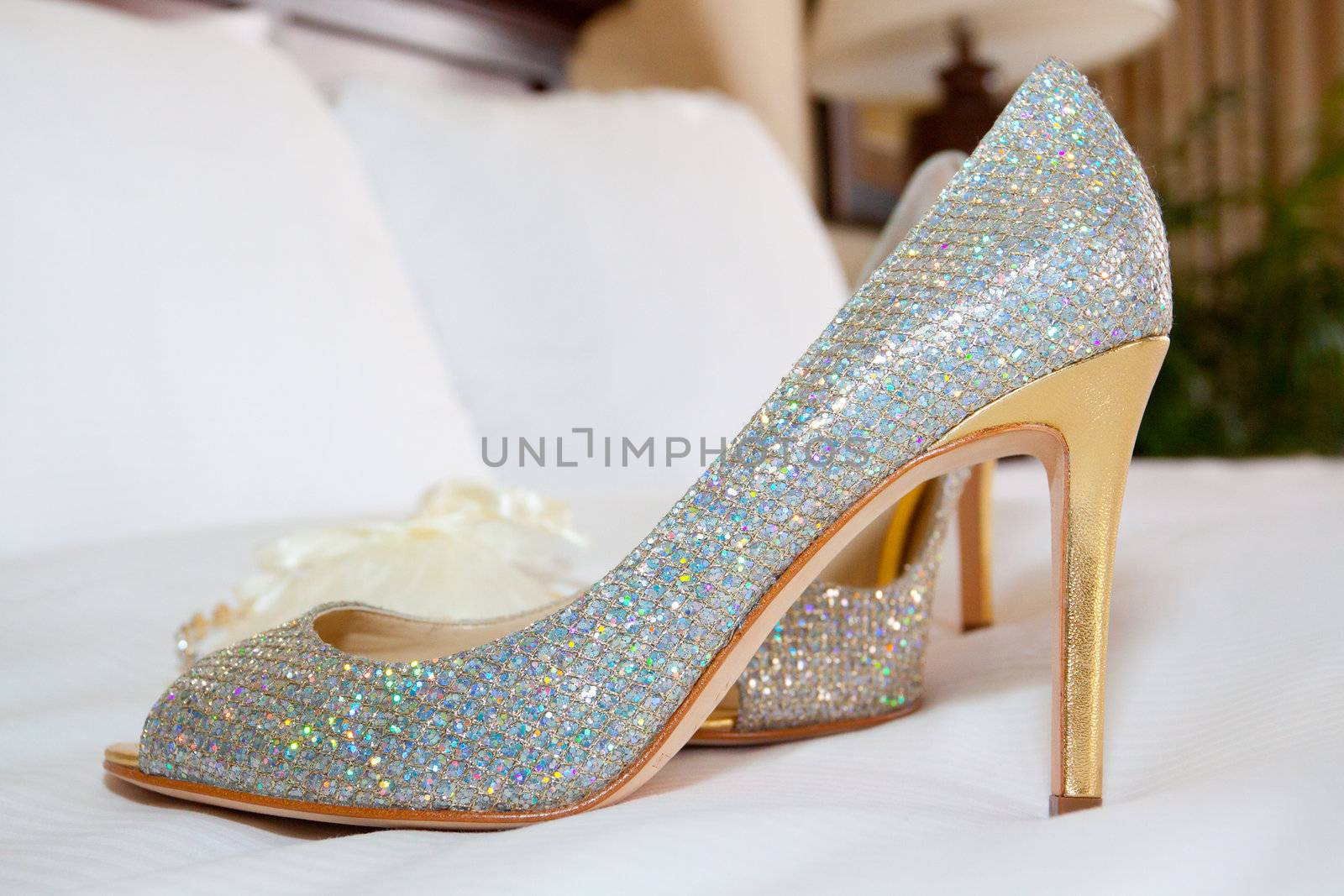 Bride's Shoes by joshuaraineyphotography