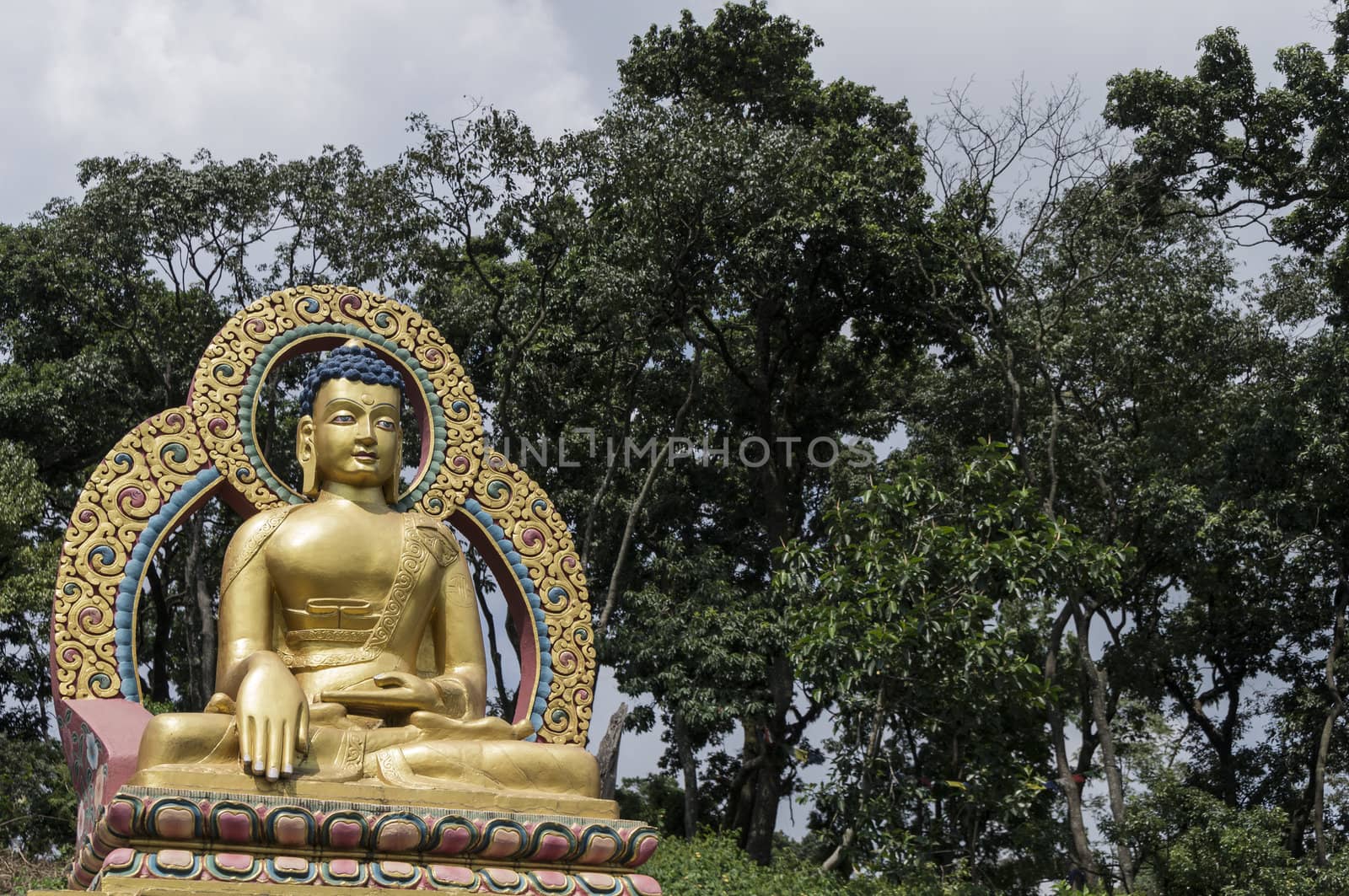 golden buddha with trees in background by gewoldi