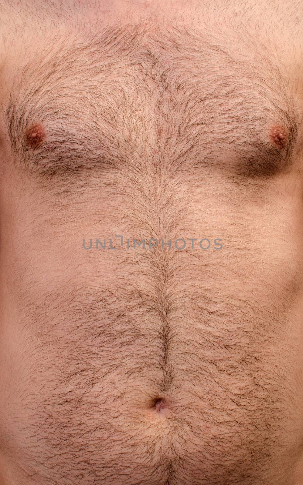 Hairy skin background by silent47