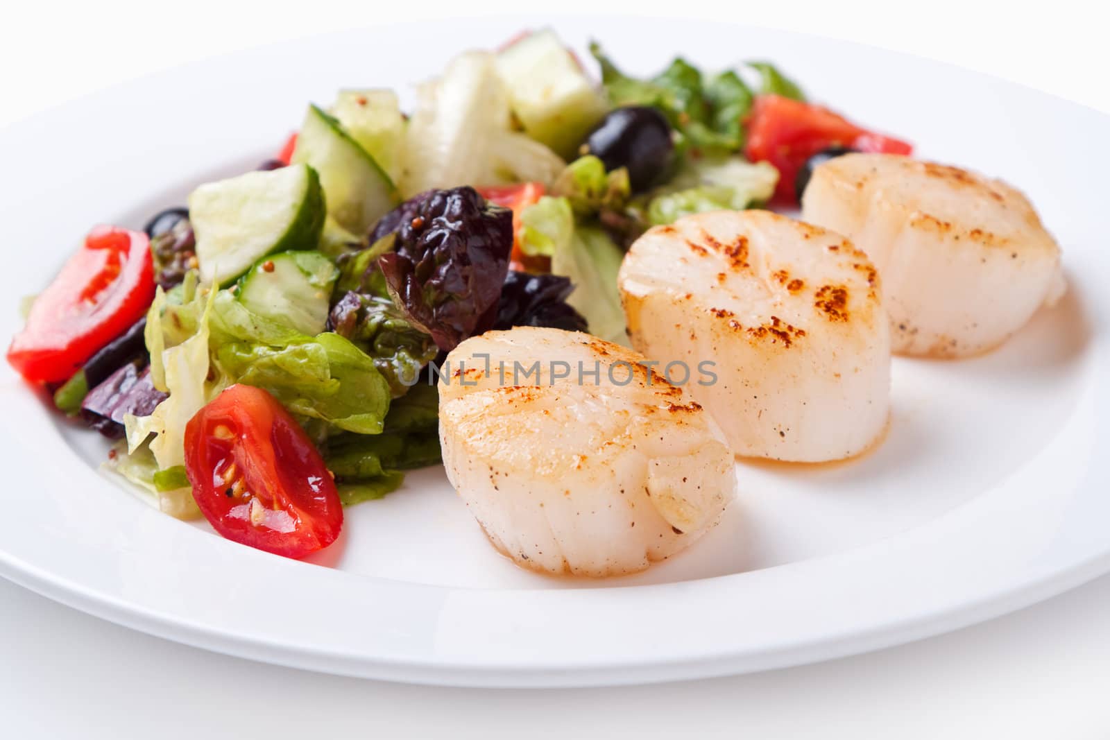 Salad of scallops on a white plate close up
