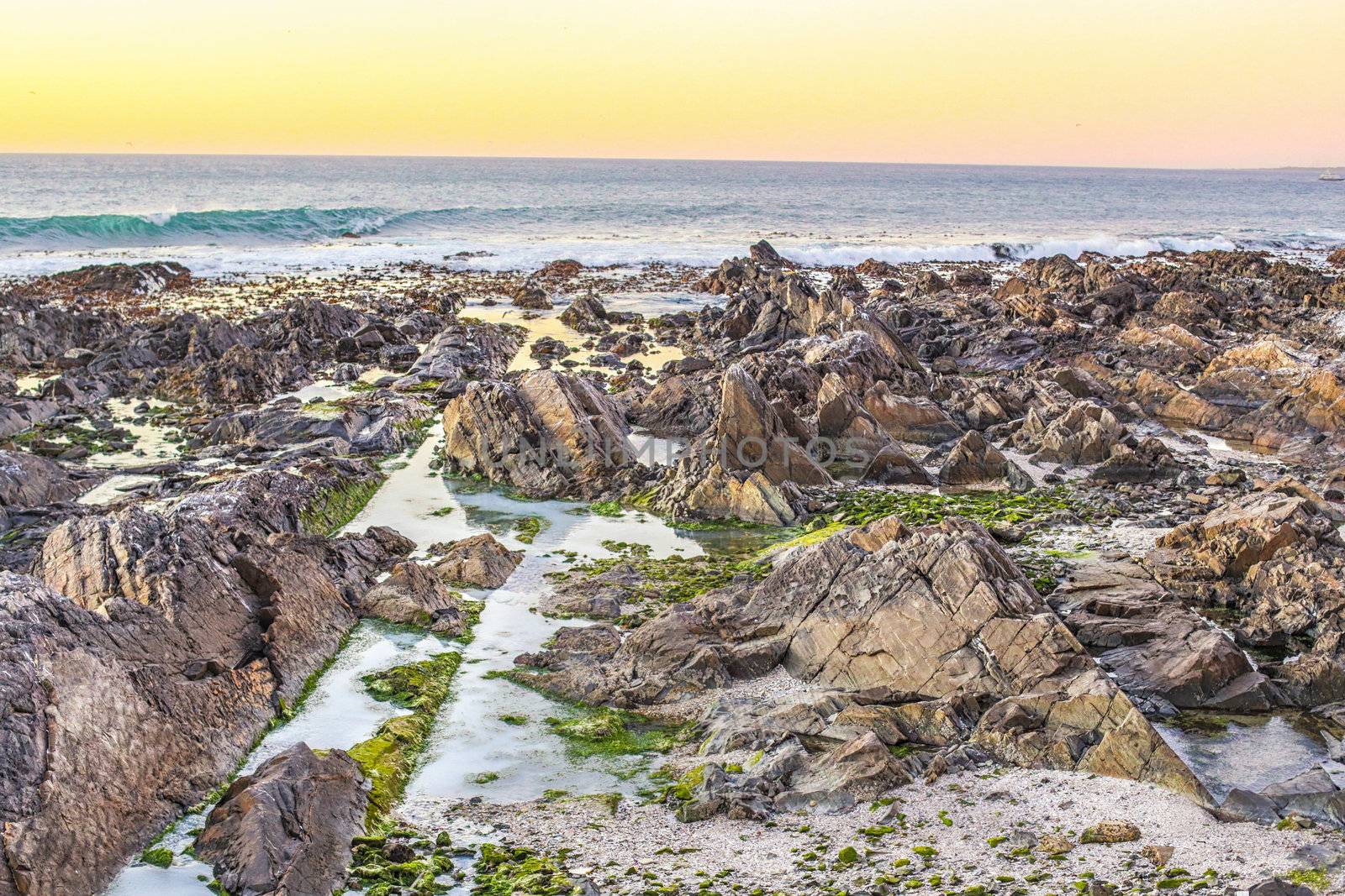 The beautiful rocky shores of the  Atlantic ocean in Cape Town, South Africa