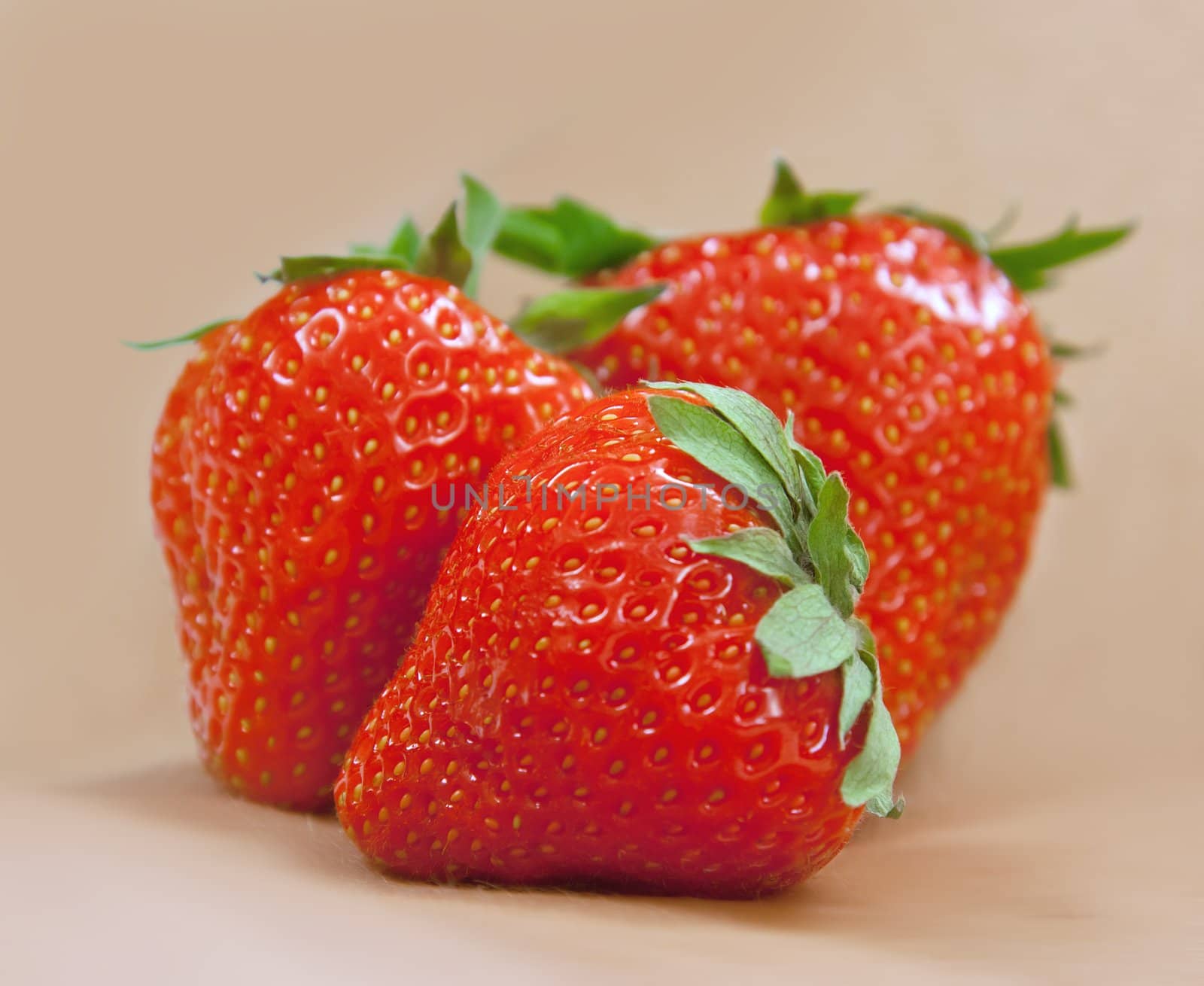 Fresh strawberry l by microolga