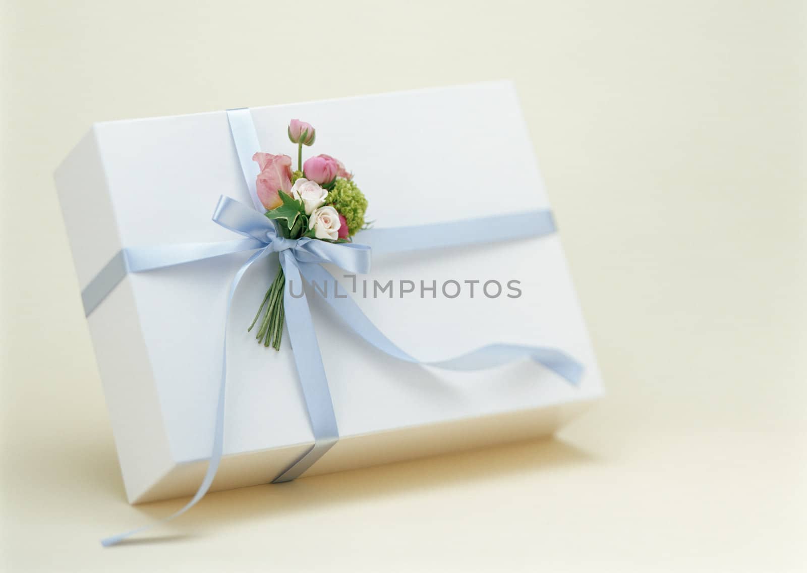 Gift Box