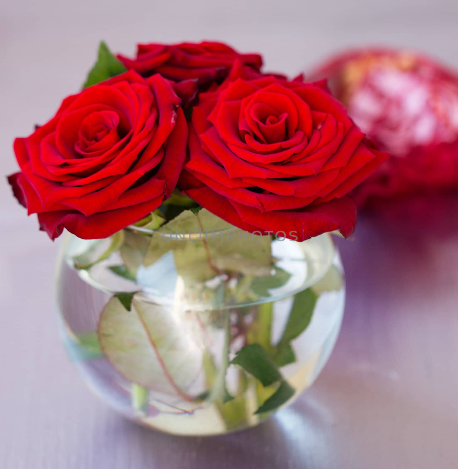 vase with red roses on the table by victosha