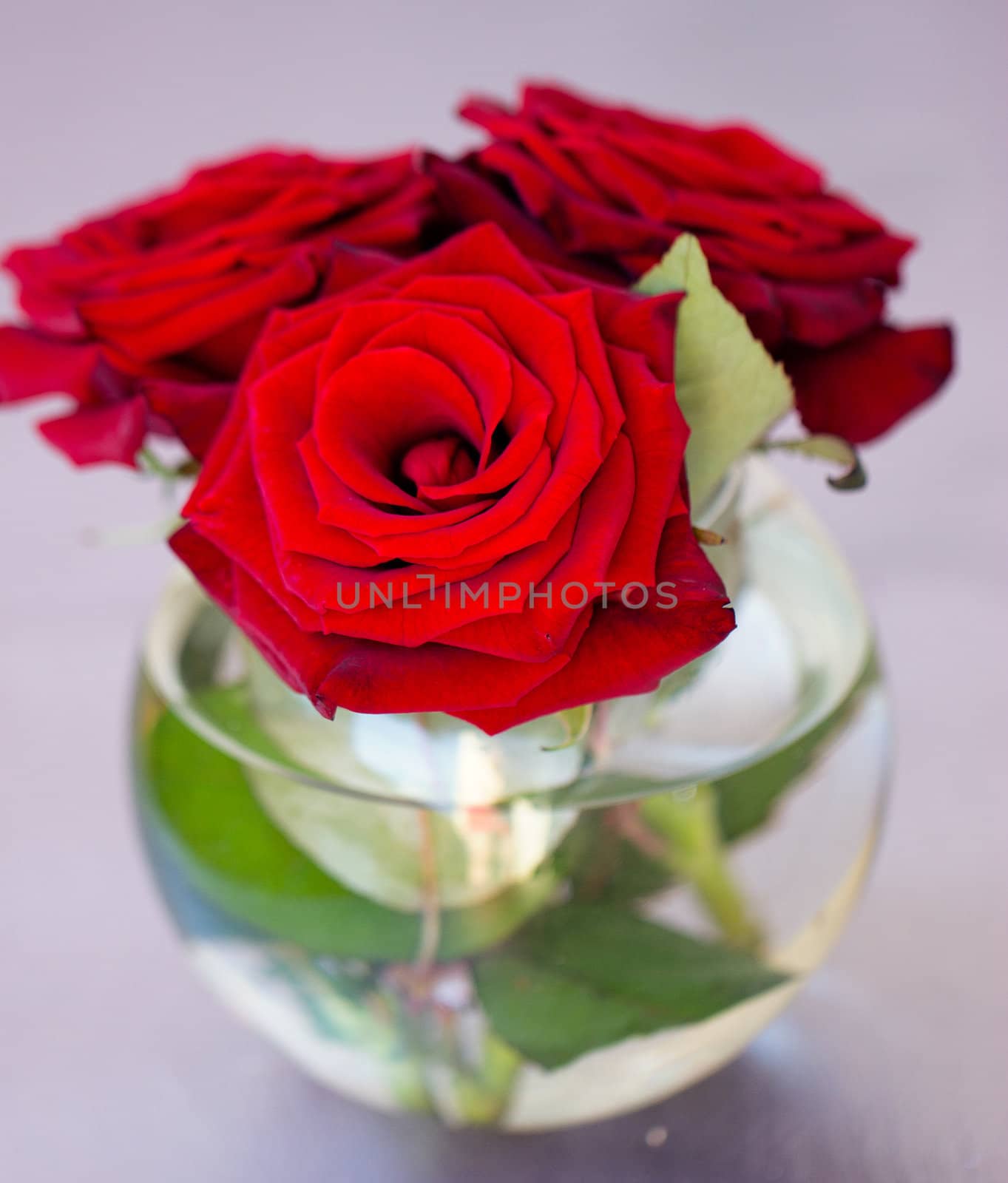 Round transparent vase with red roses on the table close-up