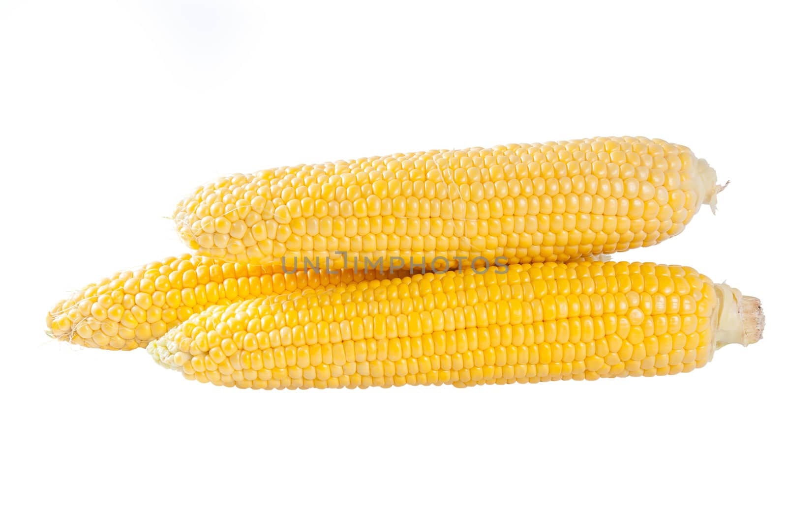 Fresh raw ears of corn isolated on a white background