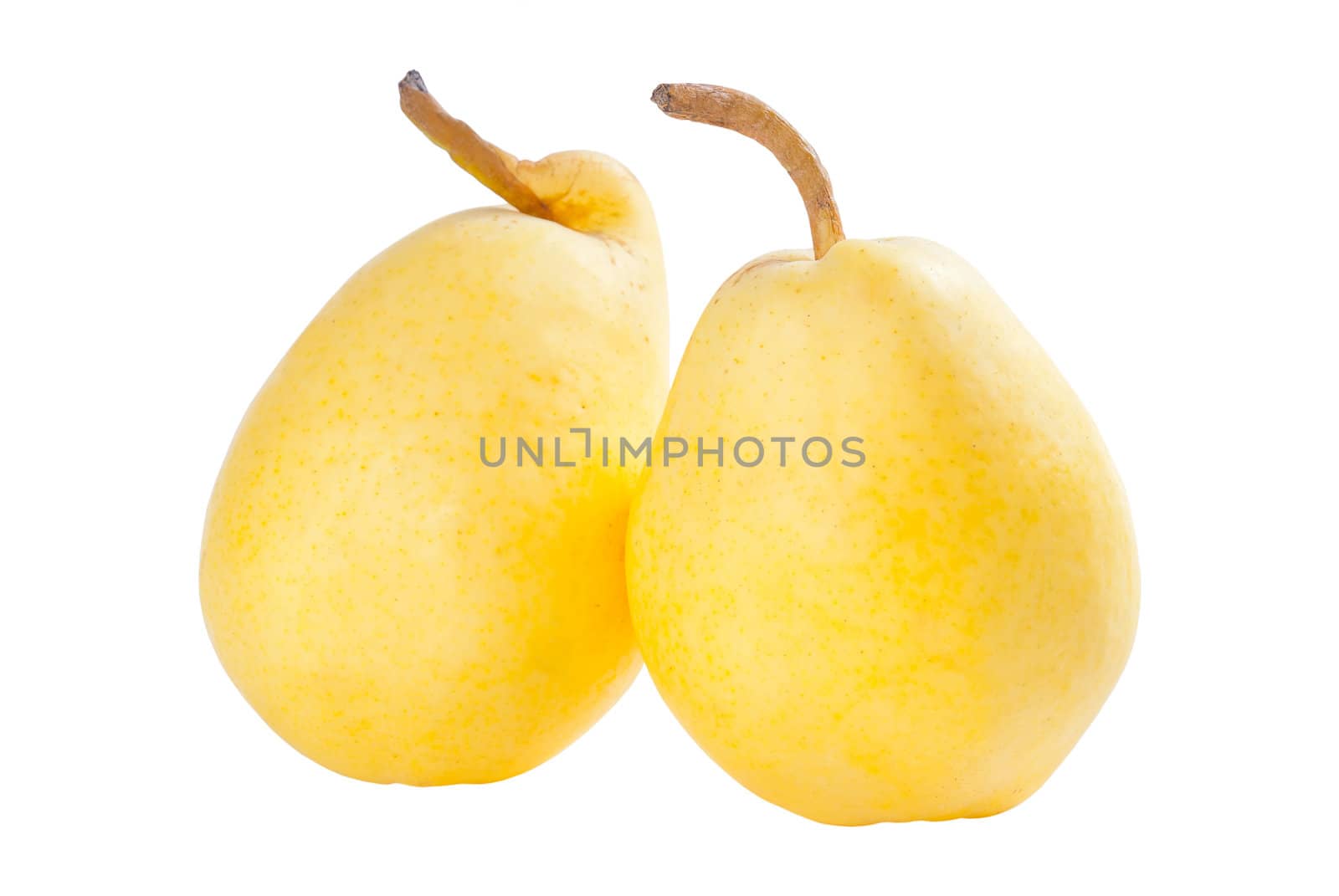 Three ripe yellow pears isolated on white background