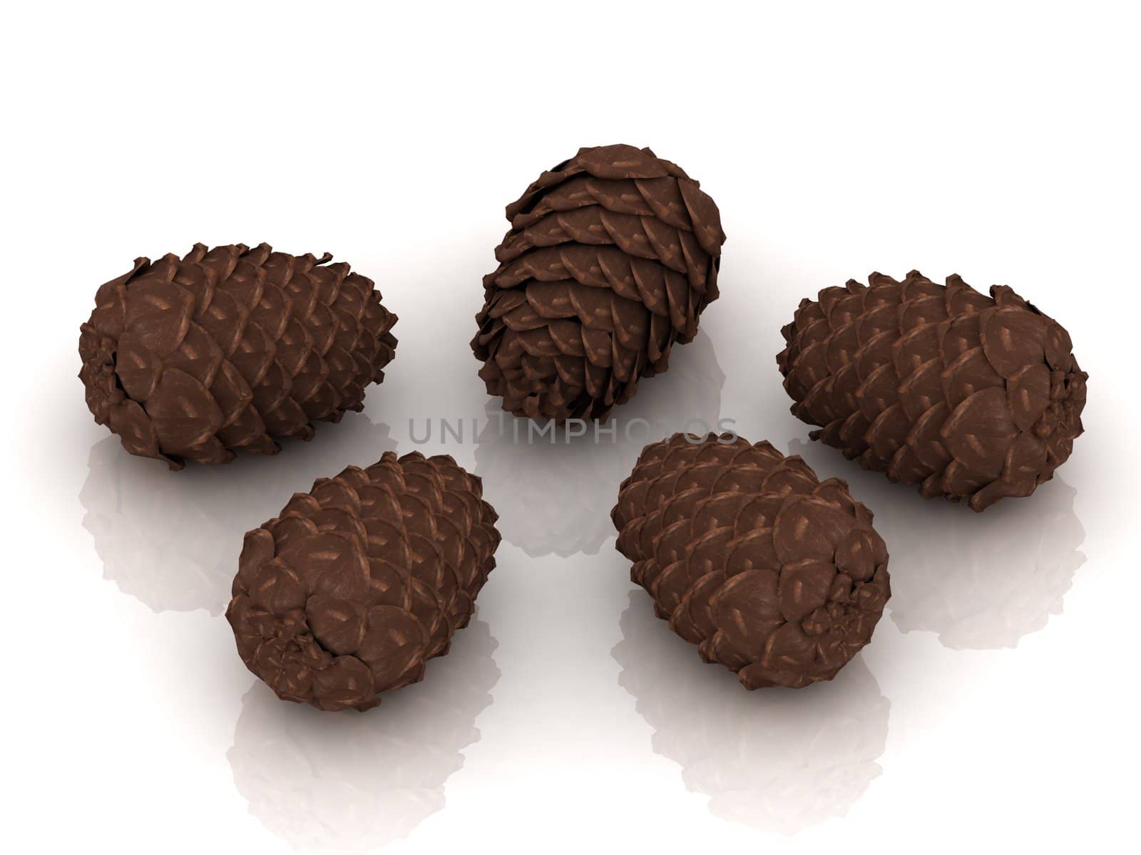 Five pine cones by GreenMost