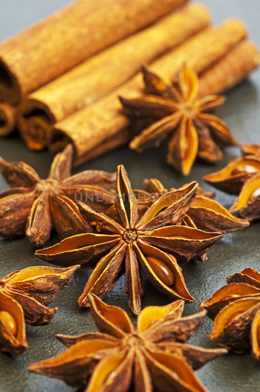 star anise by Jochen