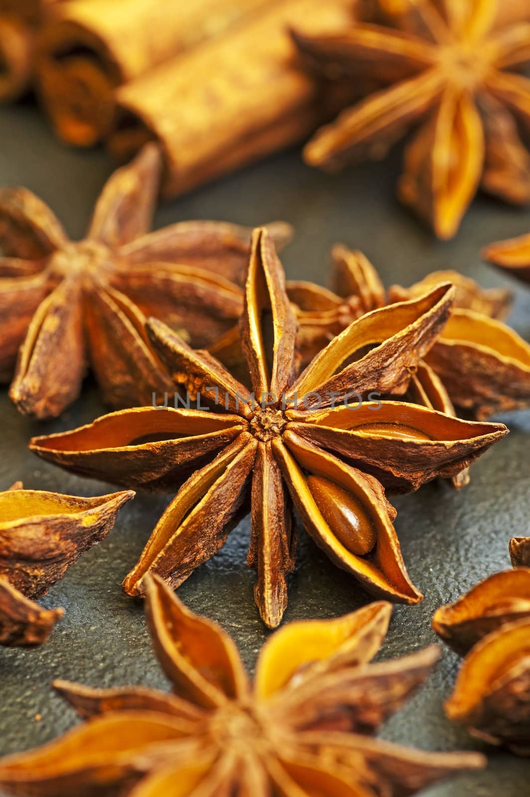 star anise by Jochen