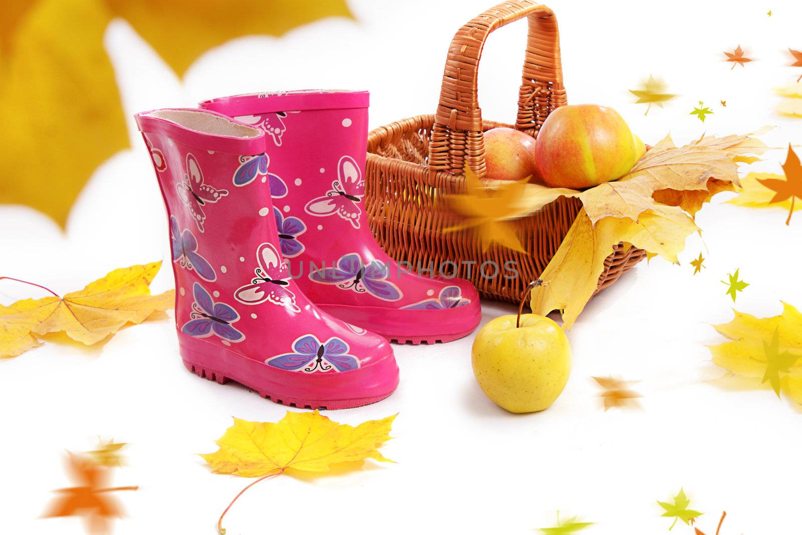 Rain boots, basket with apples and falling leaves, autumn concept