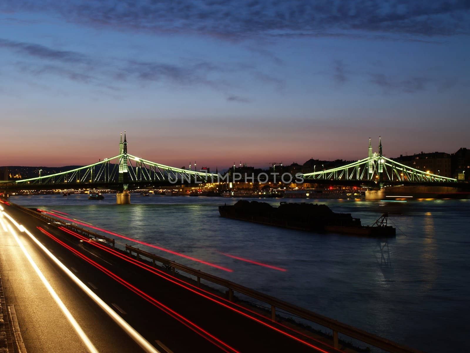 Freedom bridge of budapest by anderm