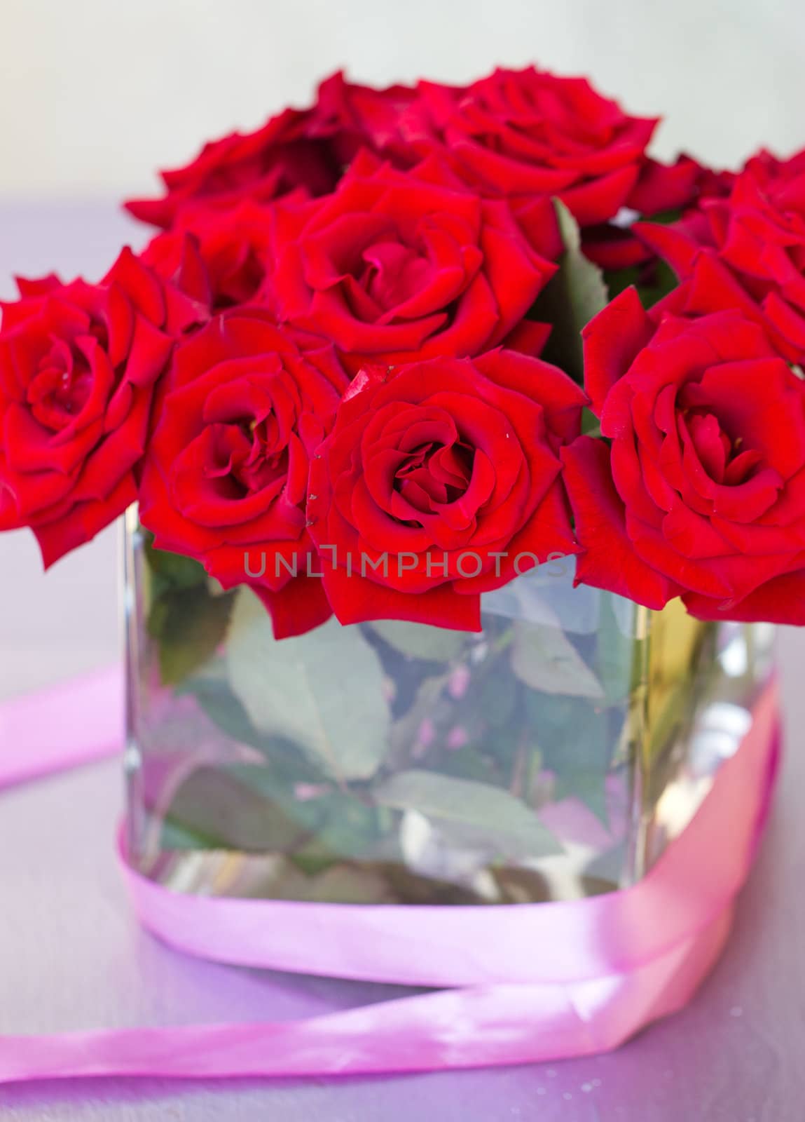 Bunch of red rose flowers in a square vase