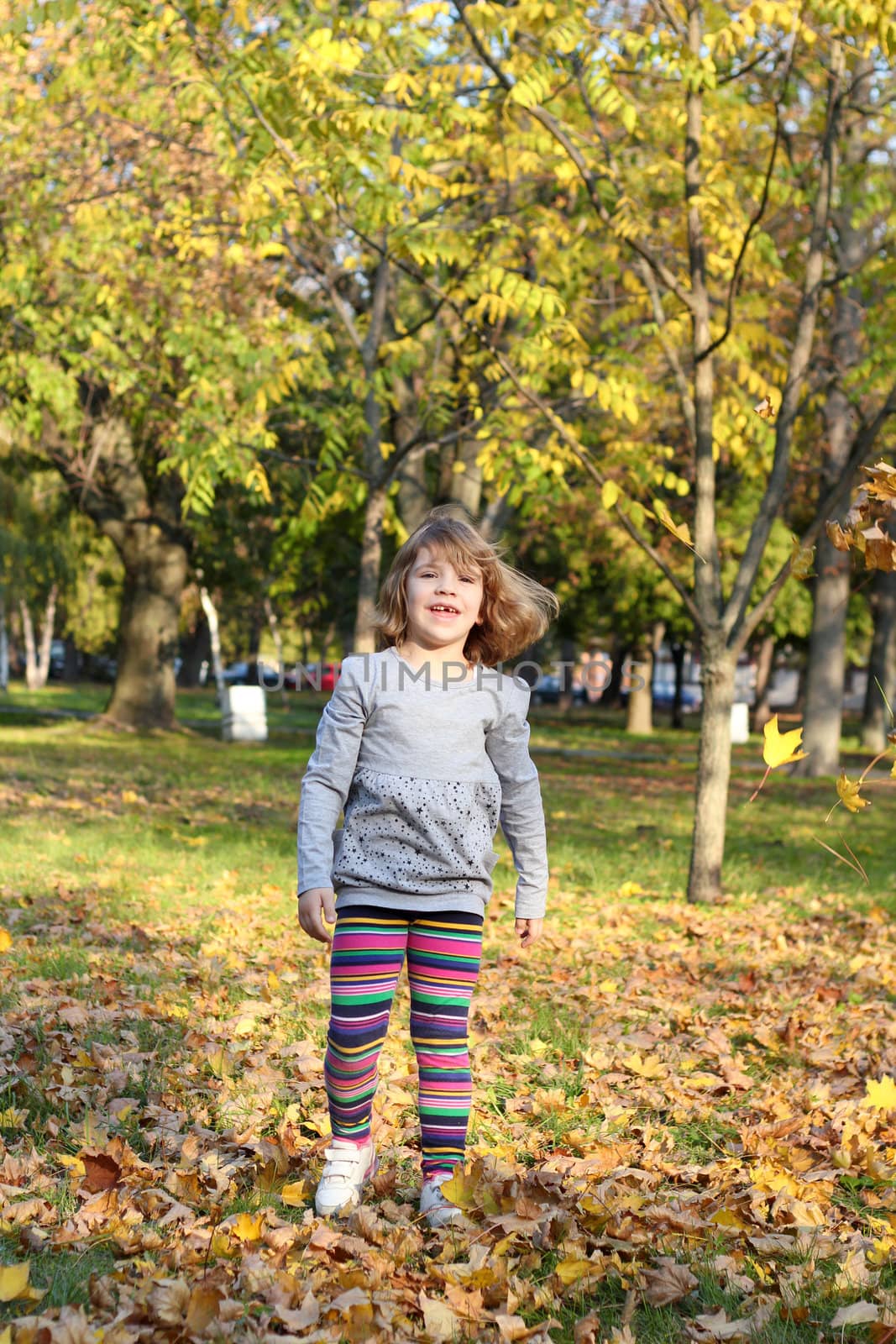 little girl walking in autumn park by goce