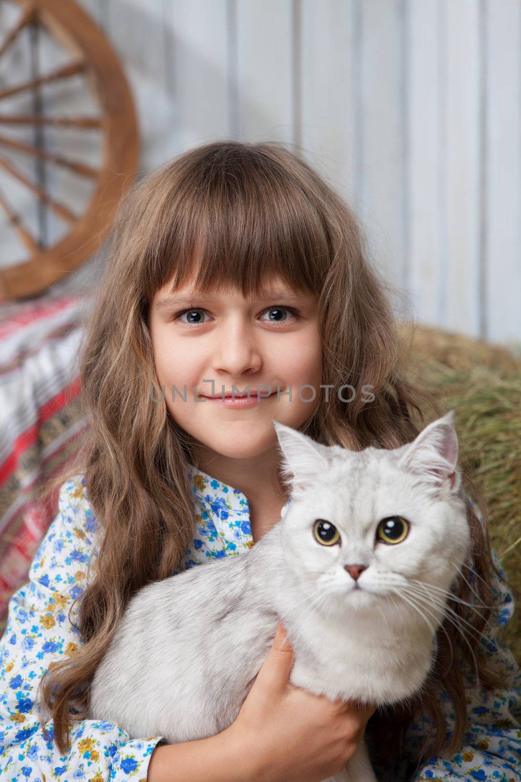 Portrait of little sincere friendly blond girl villager sitting with white cat in hands in wooden barn