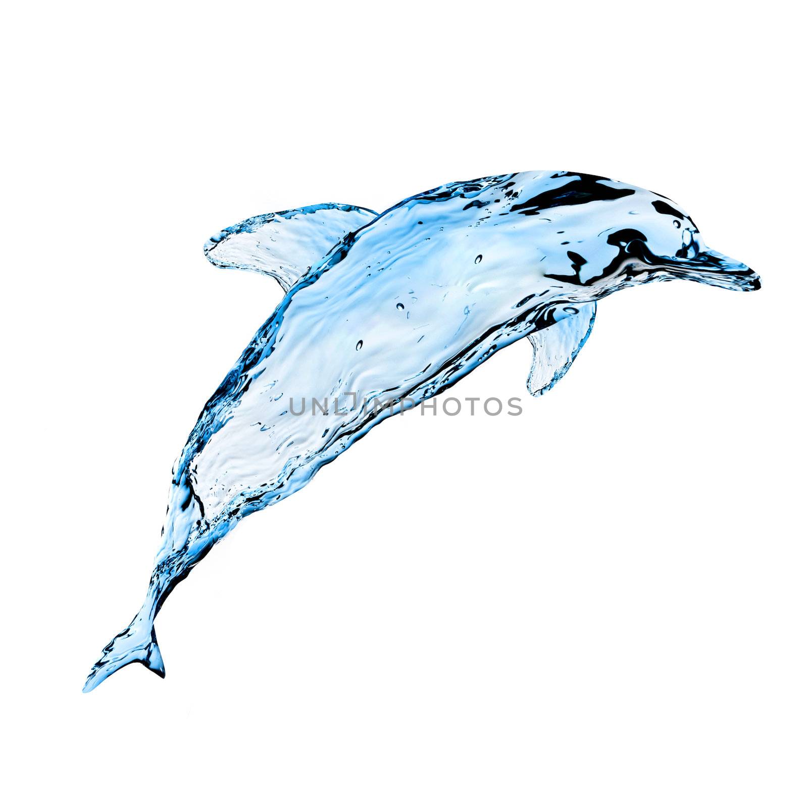 Dolphin from splashes of water on a white background