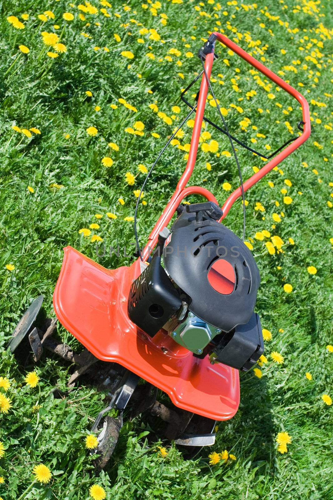 Hand tractor plough from front side on the flowering dandelion field Vertical