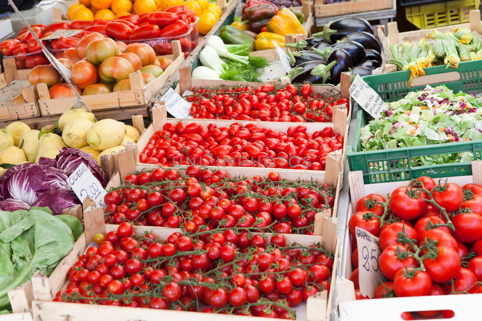 Arrangement of ripe fresh raw vegetables in wooden boxes at open street farmer’s market