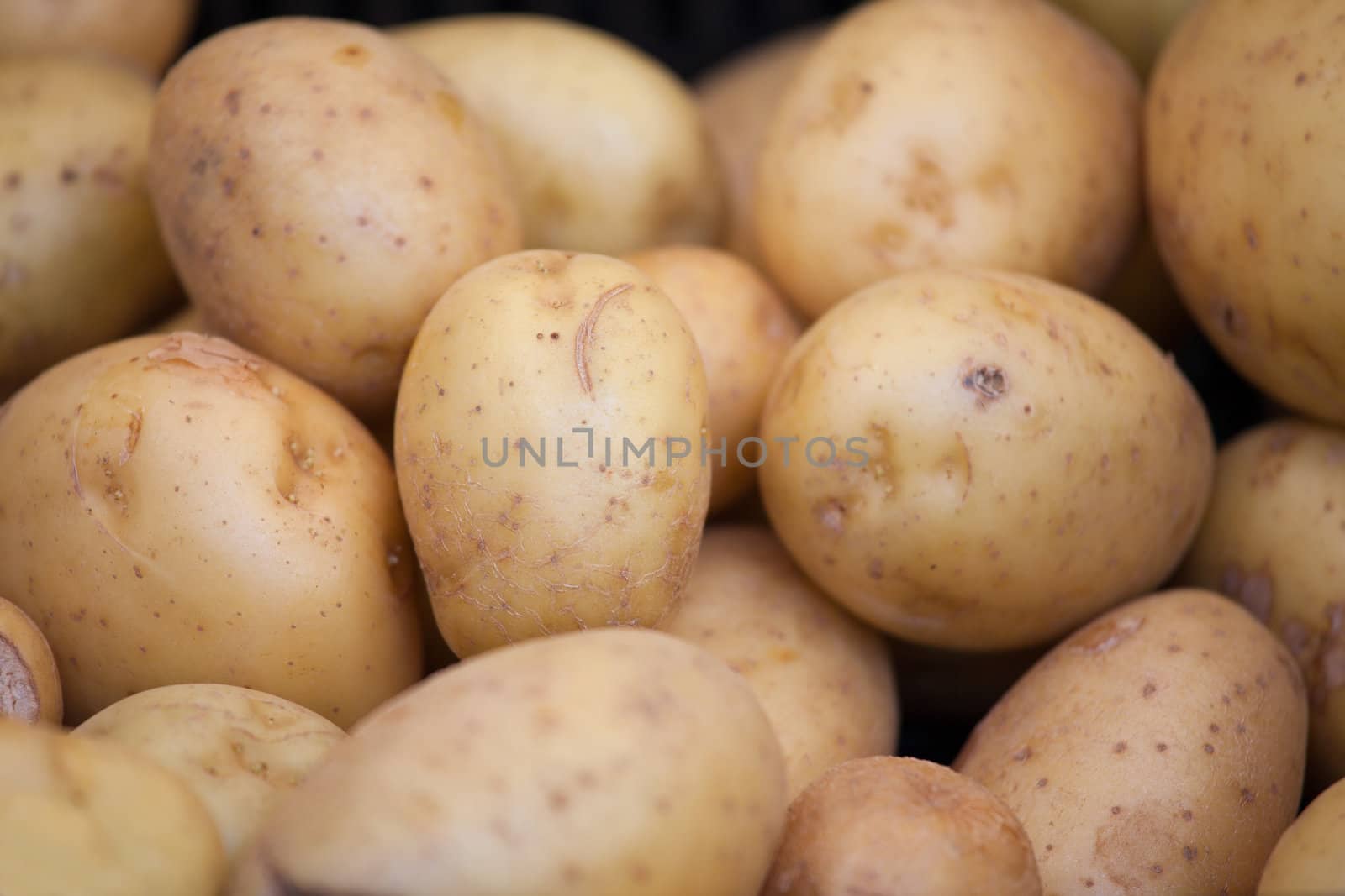 Group of young raw potatoes in brown jackets macro