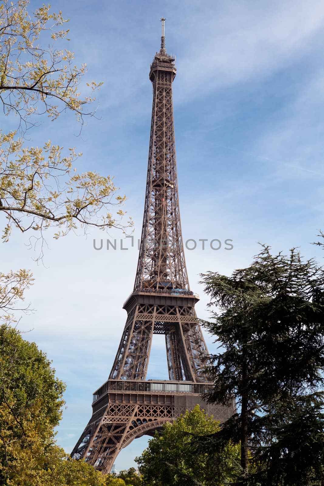 European national landmark Eiffel tower through leaves of park trees in spring in city Paris France on the blue sky background