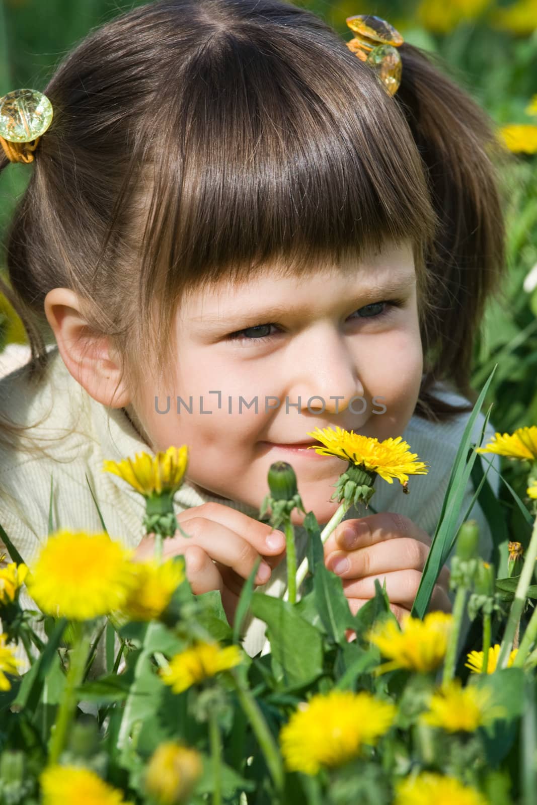 Little cool smiling girl is smelling at the dandelions on the flowering meadow