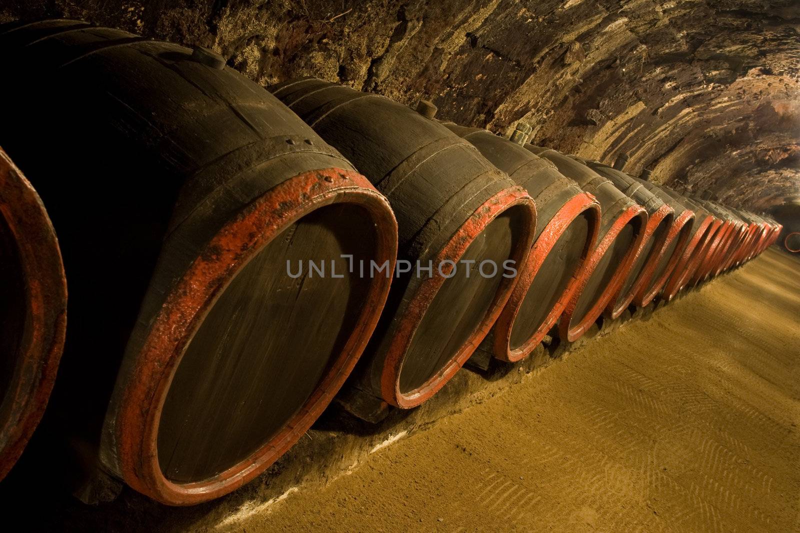 Row of Old wine barrels are stored in winery cellar near moss-grown wall