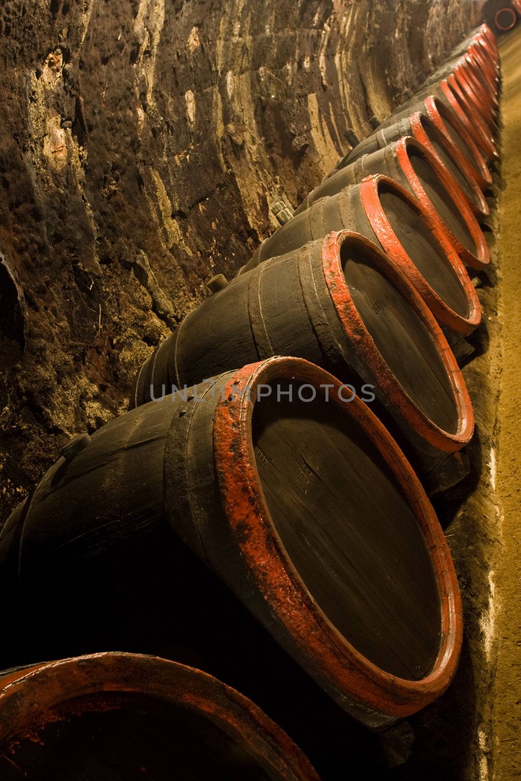 Row of Old wine barrels are stored in winery cellar near aged wall resedes into the distance