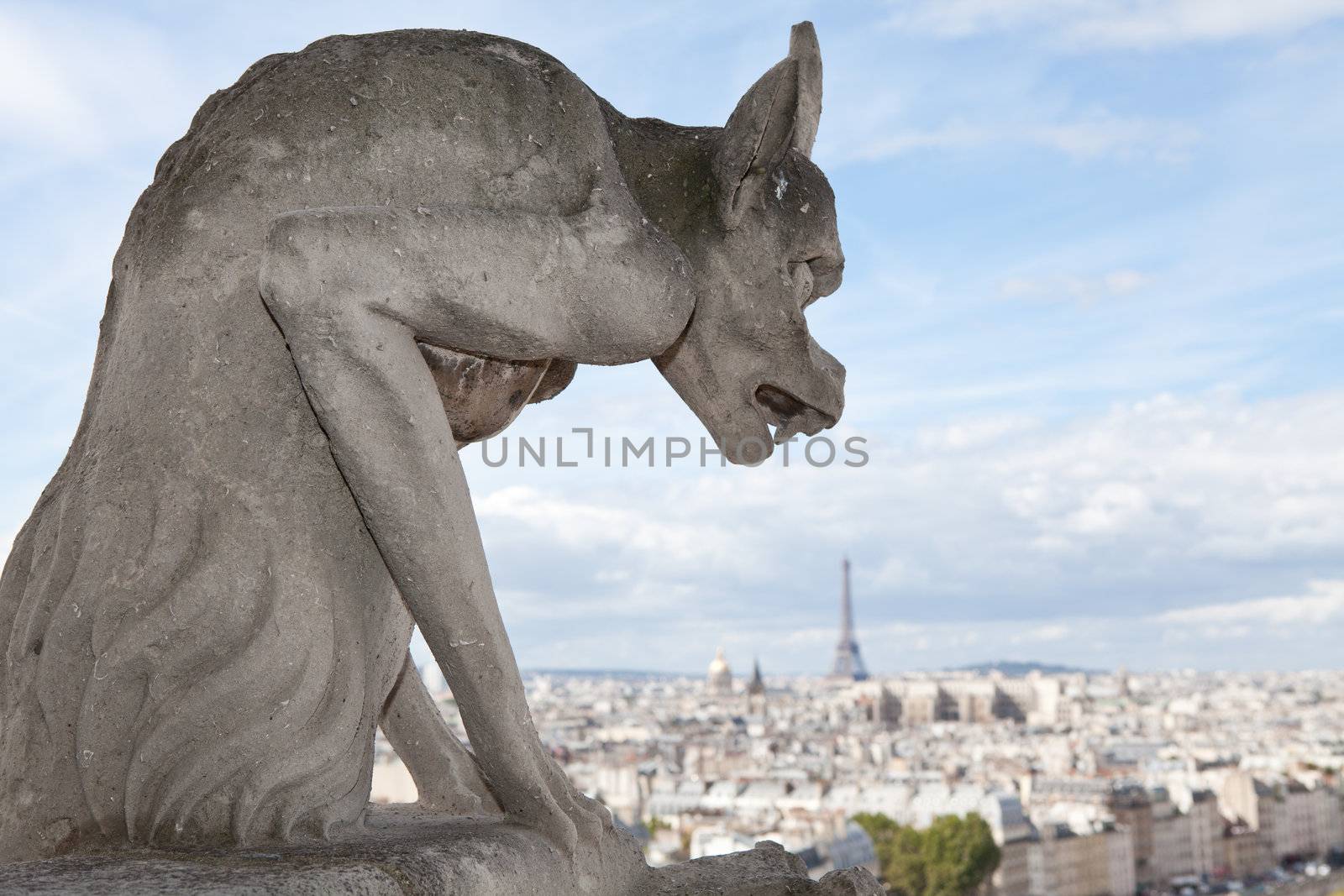 Gothic gargoyle Statue on cloudy sky background and top view from cathedral Notre Dame on streets, center, downtown, tower Eiffel in city Paris France in summer