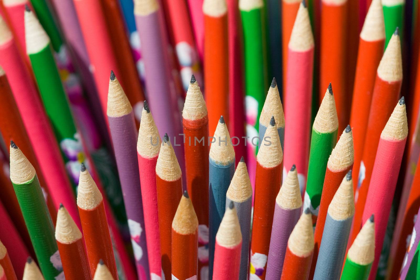 Decorated school pencils close-up