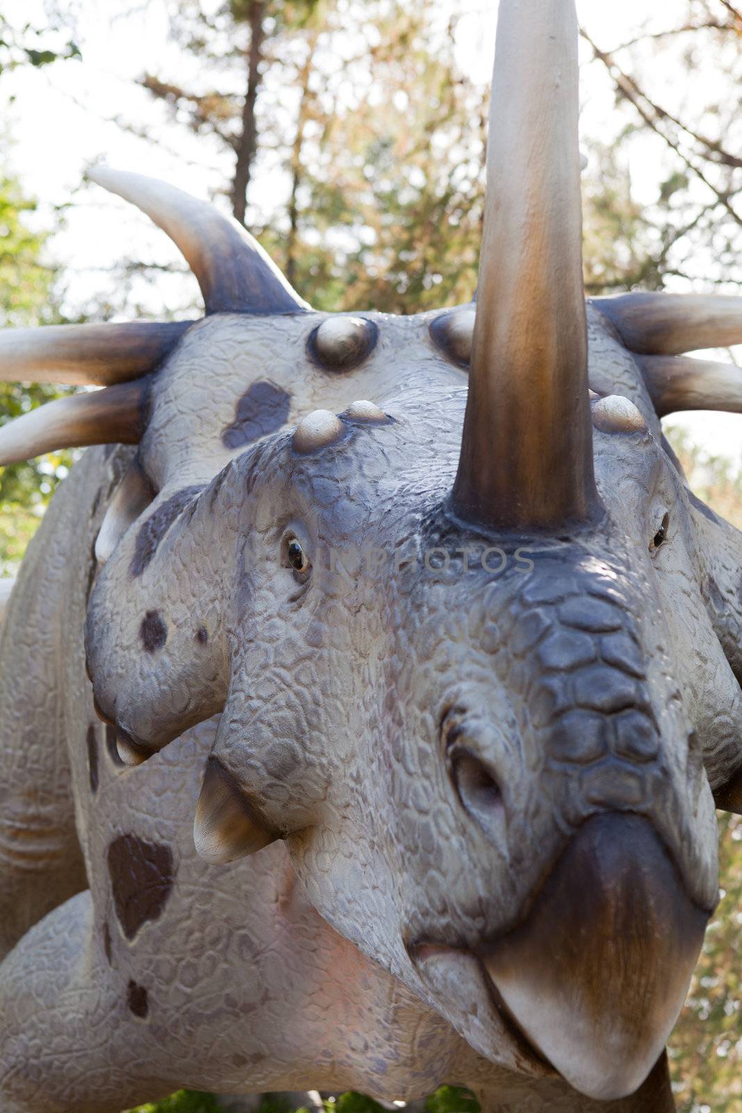 Head of reptile dinosaur styracosaurus albertensis Ceratopsn with bone horns and beak from late Cretaceous period on green leaves and sky background