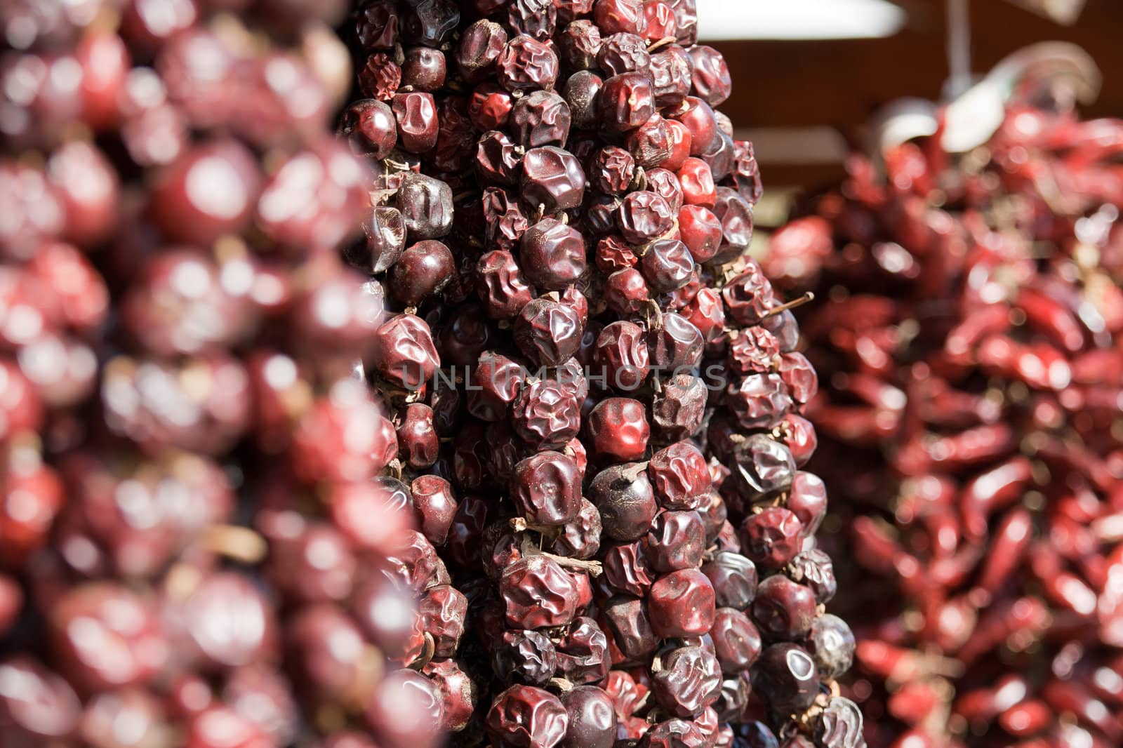 Bundles of dried red hot chili pepper on market