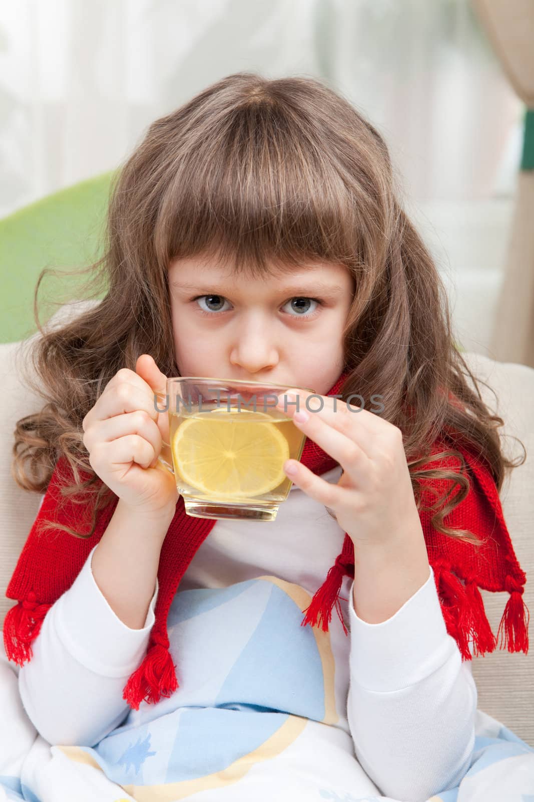 Close-up sympathetic little sick girl wrapped in red scarf under blanket in bed is drinking antiviral with lemon slice from transparent cup