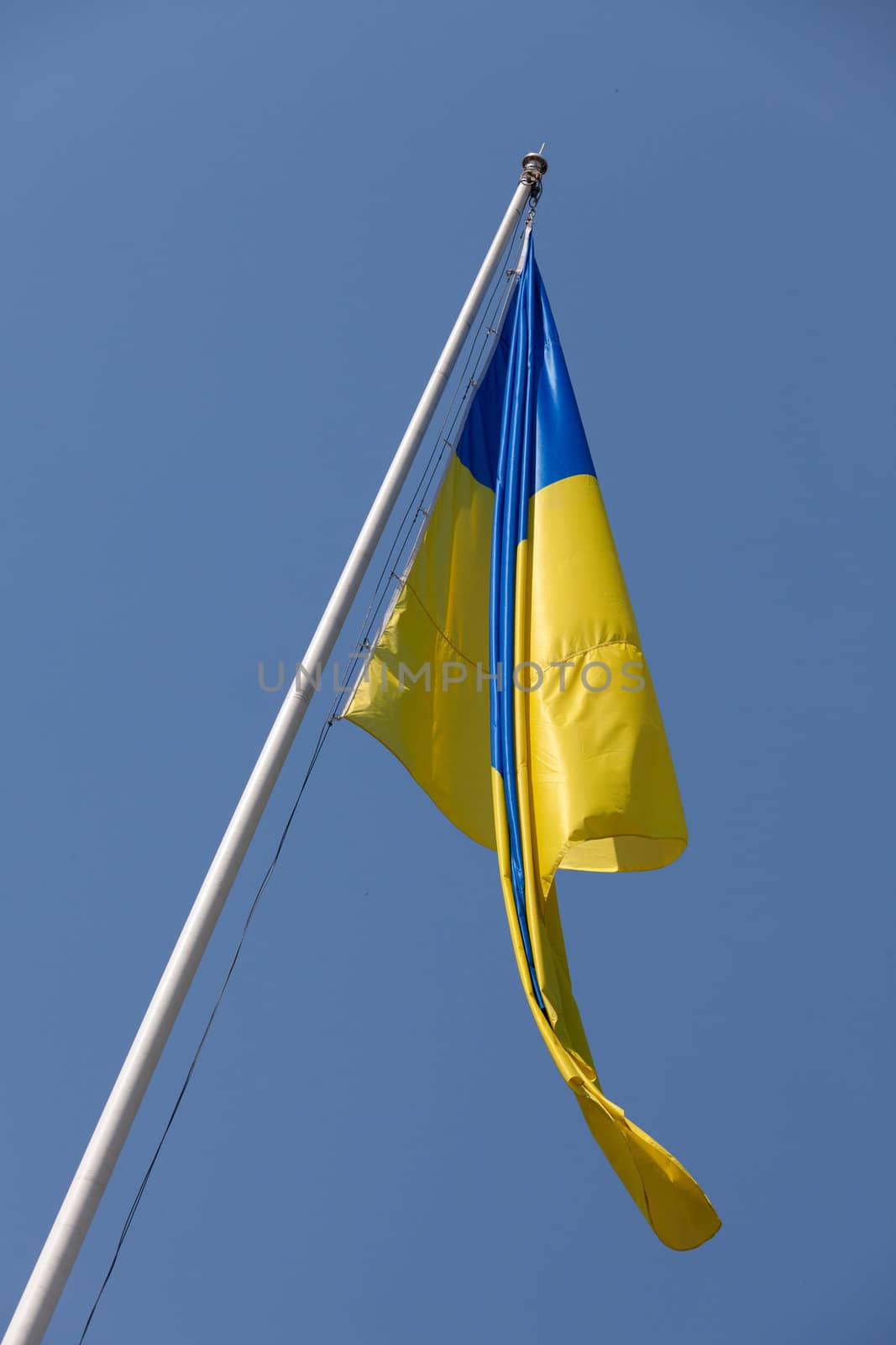 Waving Ukrainian Yellow-Blue Flag hoisted on flagpole on the blue sky background