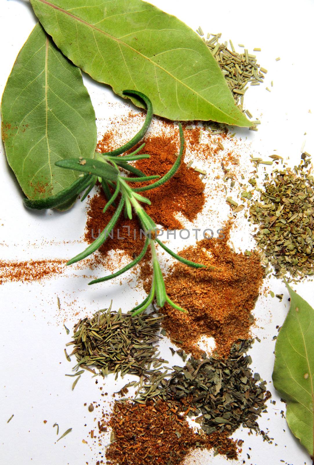 Big mix of spices and herbs 