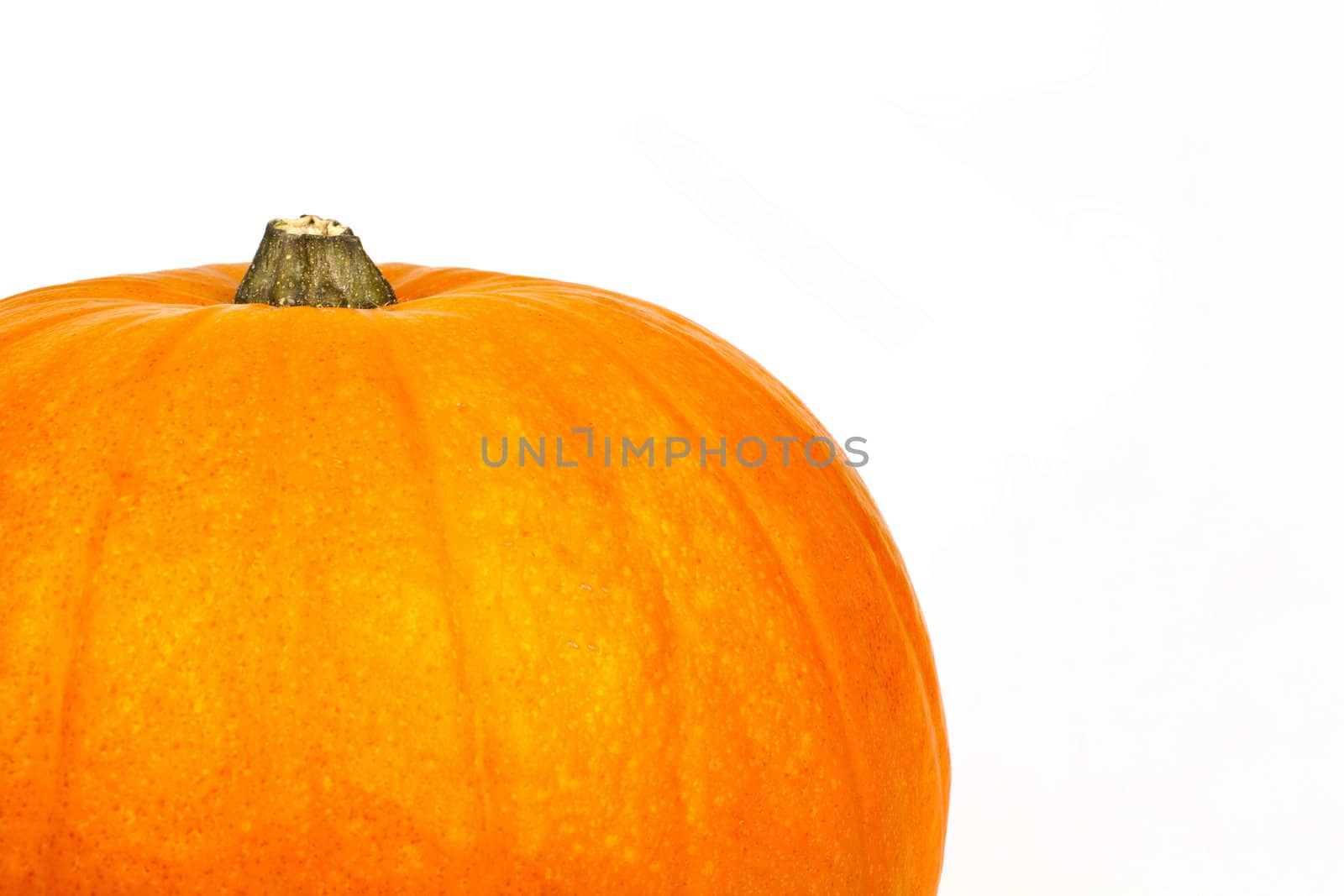 Pumpkin by chrisdorney