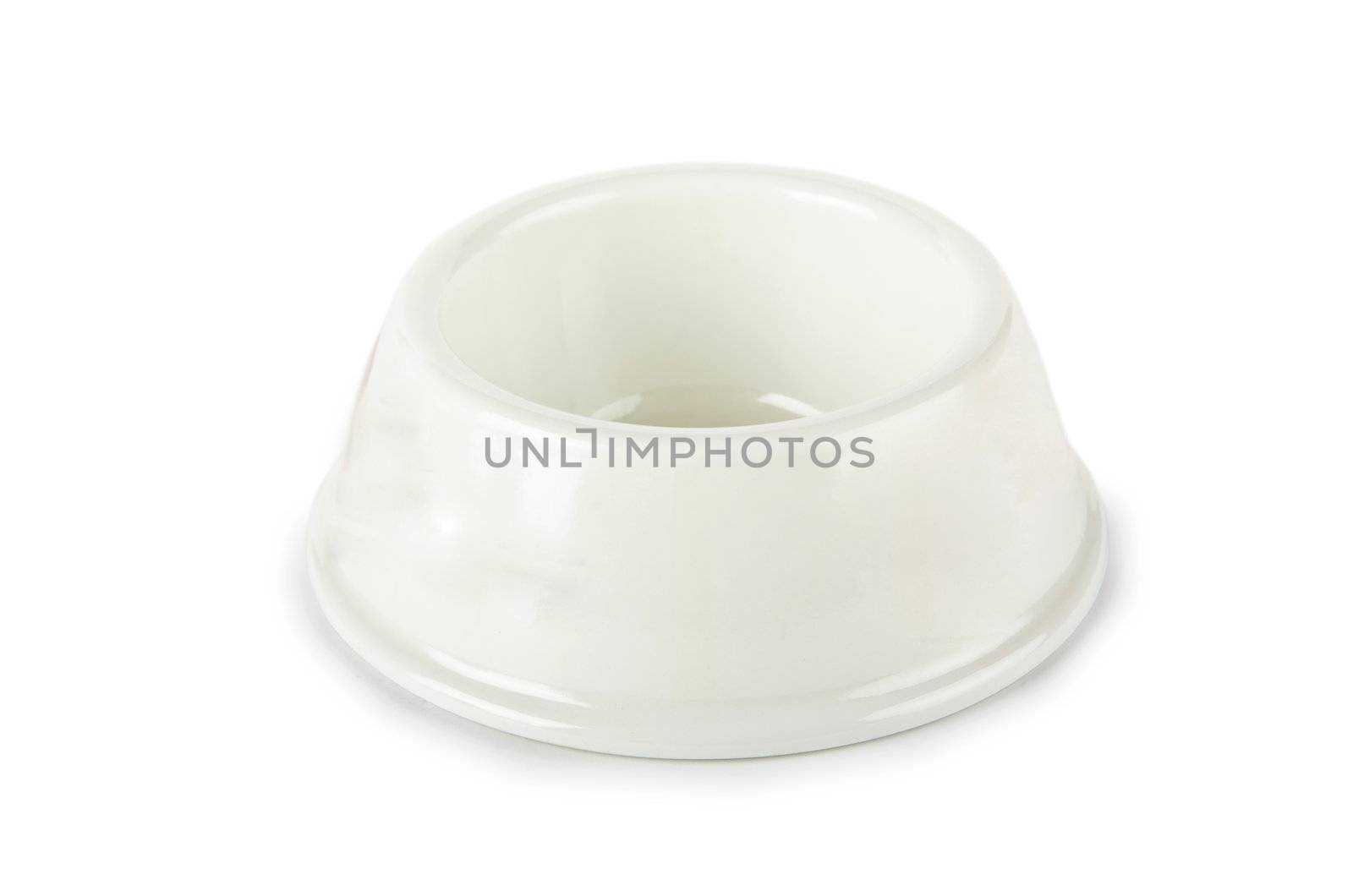 Pet bowl isolated on the white background