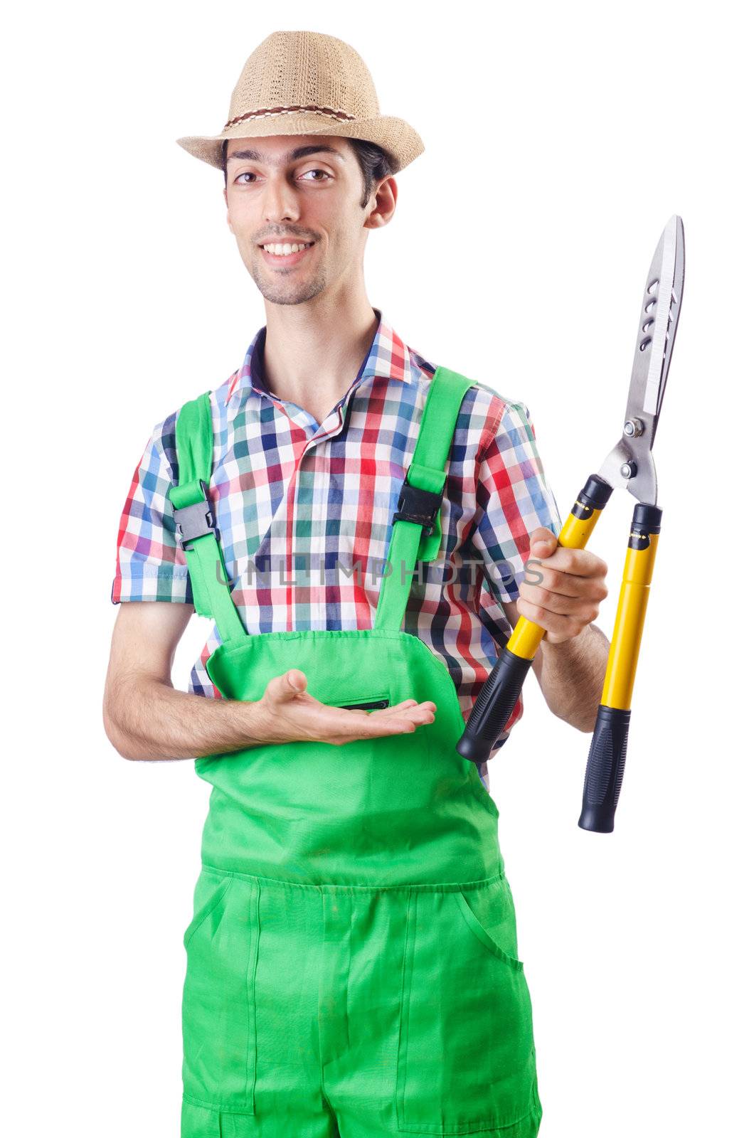 Man gardener with shears on white