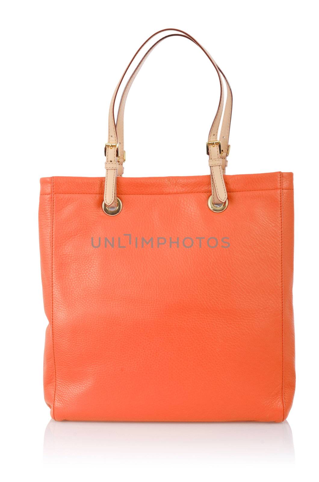 Elegant woman bag isolated on white