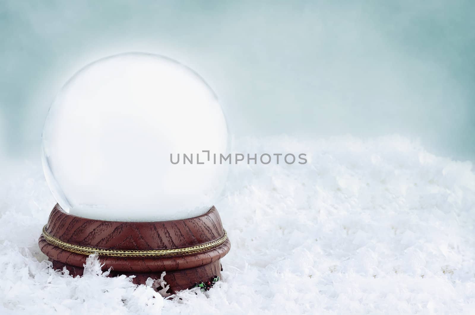 Blank Snow Globe  by StephanieFrey